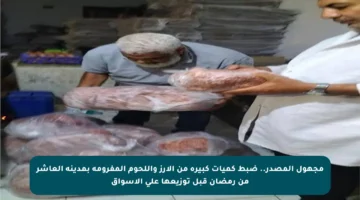 مجهول المصدر.. ضبط كميات كبيرة من الأرز واللحوم المفرومة بمدينة العاشر من رمضان قبل توزيعها على الأسواق